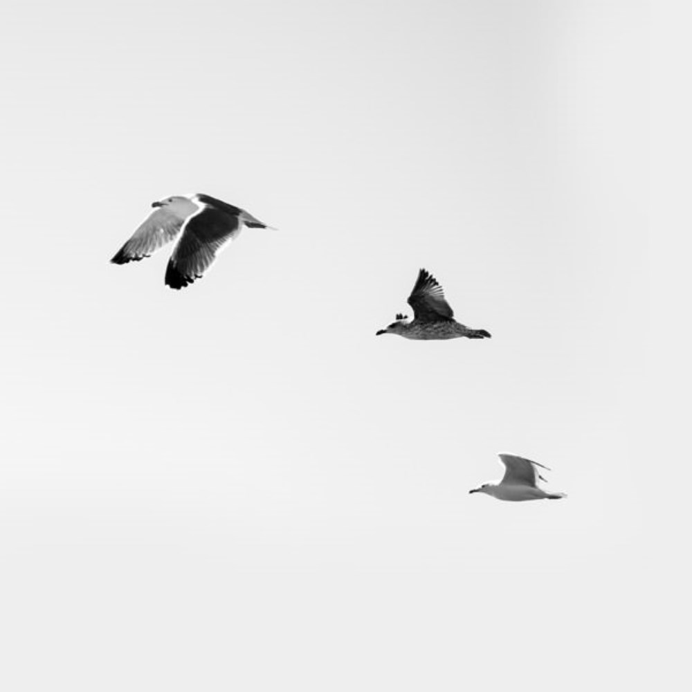 I believe I can fly<br />by Street Hawk